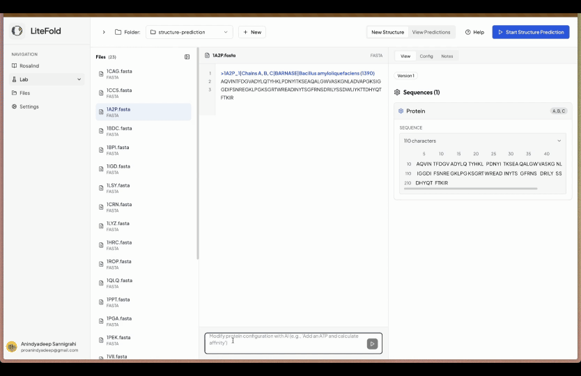 Edit, predict, evaluate your proteins structures in bulk with LiteFold