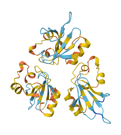 Edit, predict, evaluate your proteins structures in bulk with LiteFold