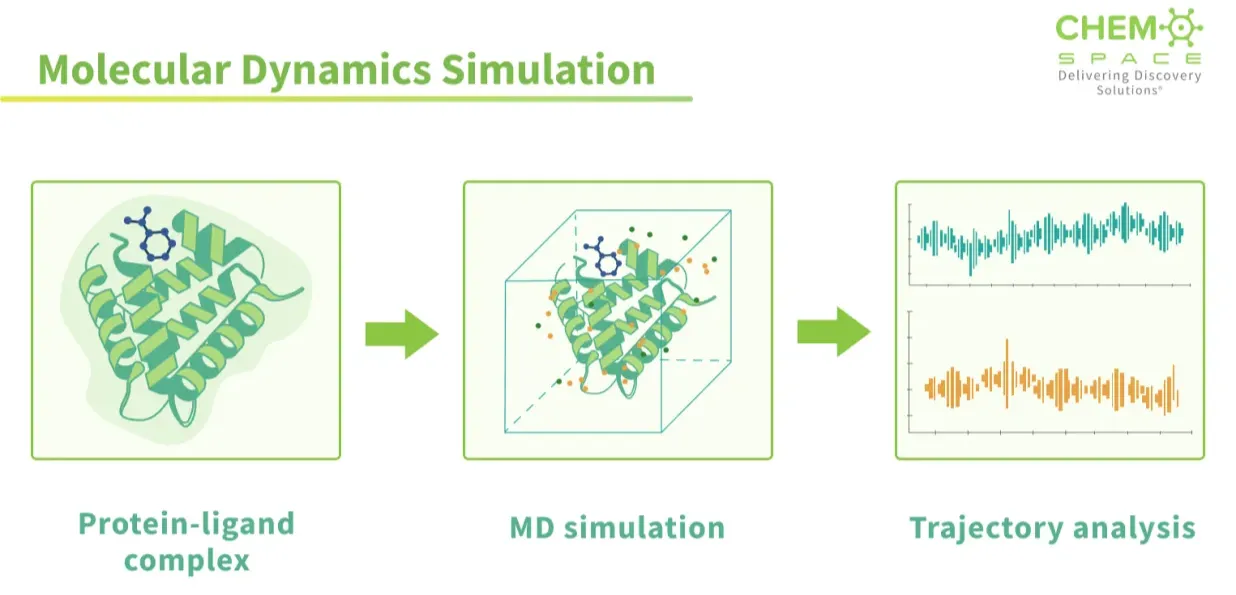 Molecular Simulations: The Fun Way to Predict Binding Affinity