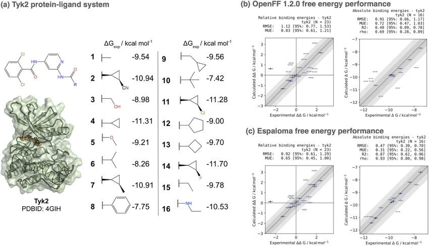 Molecular Simulations: The Fun Way to Predict Binding Affinity