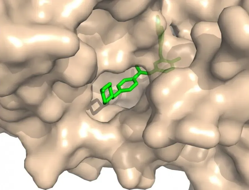 Molecular Docking in Drug Discovery