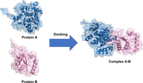 Molecular Docking in Drug Discovery