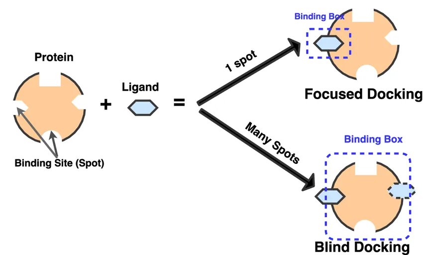 Molecular Docking in Drug Discovery