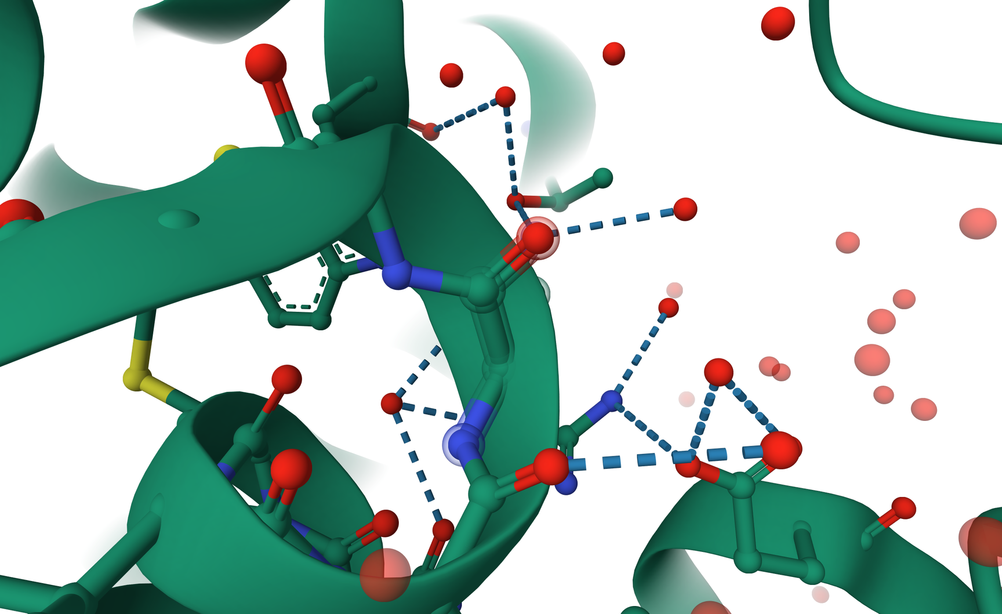The overlooked role of intrinsic water in protein–ligand binding
