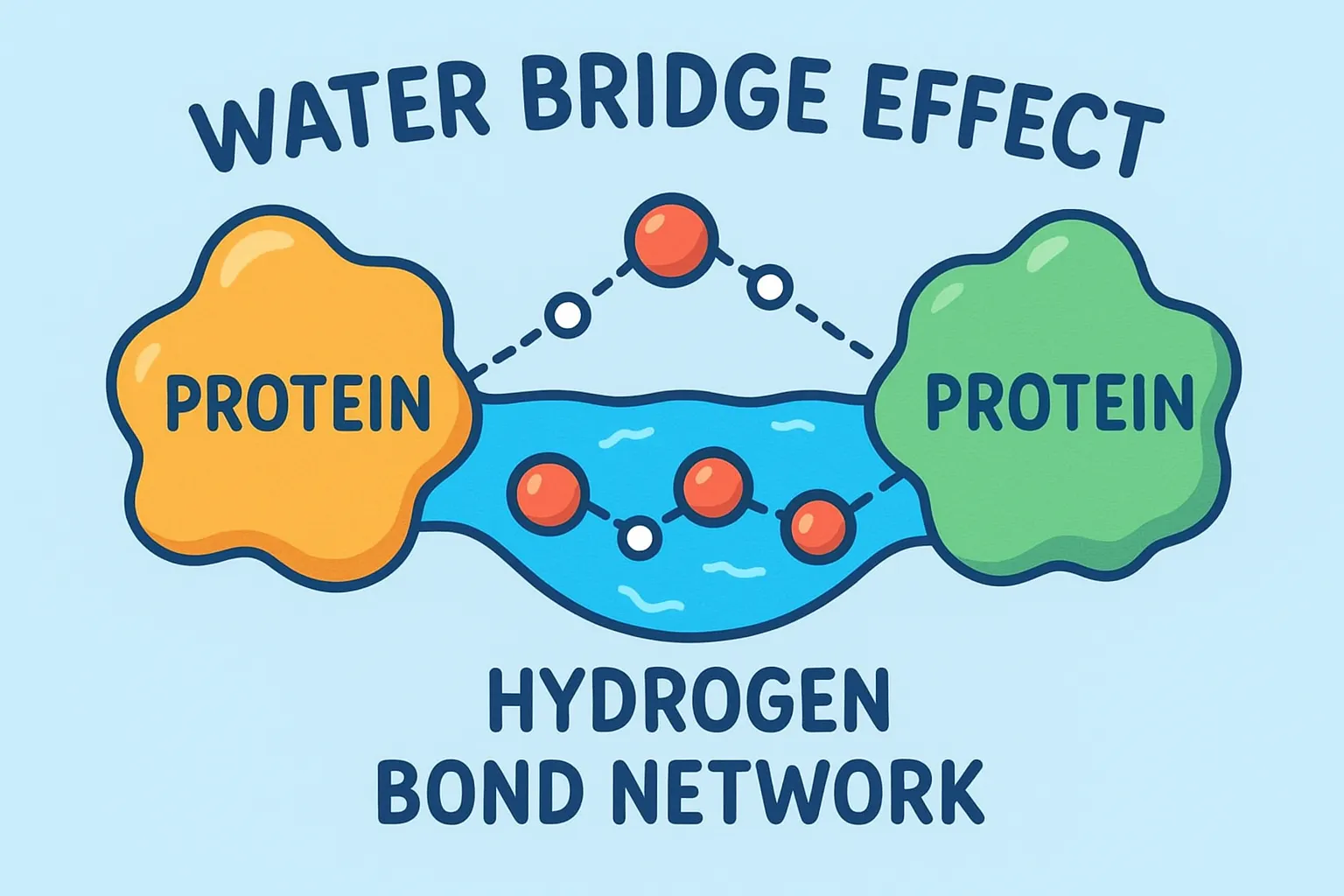 The overlooked role of intrinsic water in protein–ligand binding