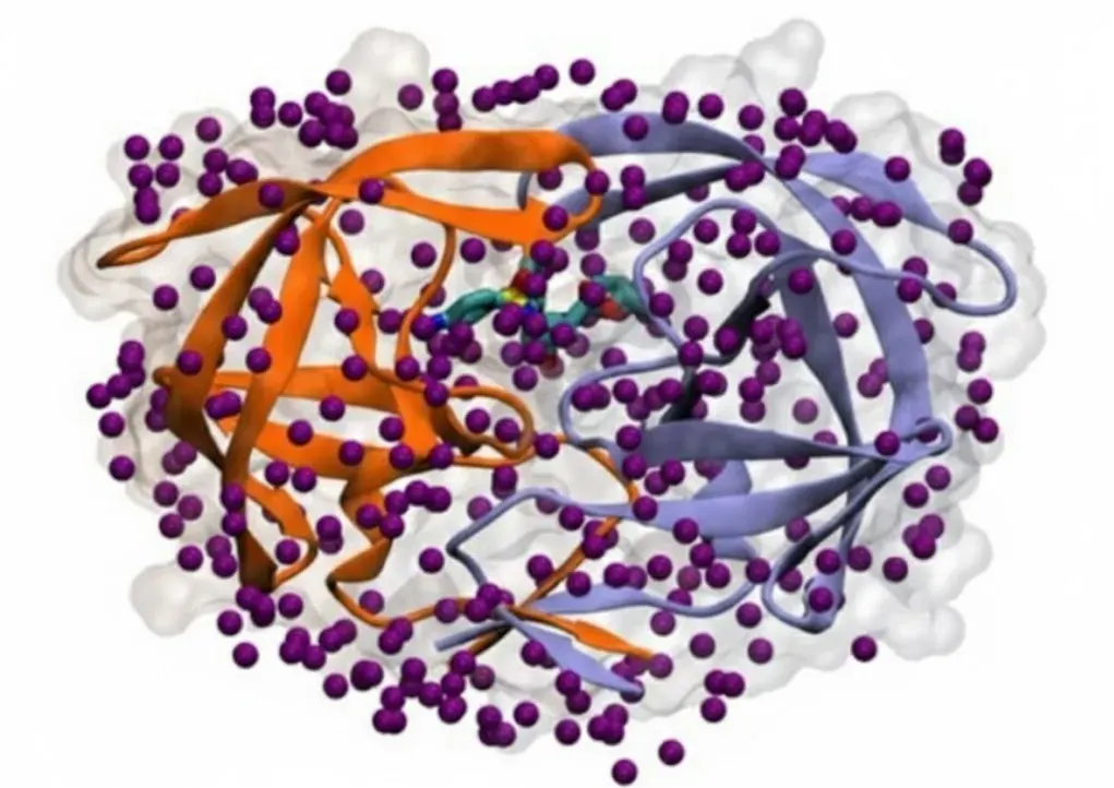 The overlooked role of intrinsic water in protein–ligand binding