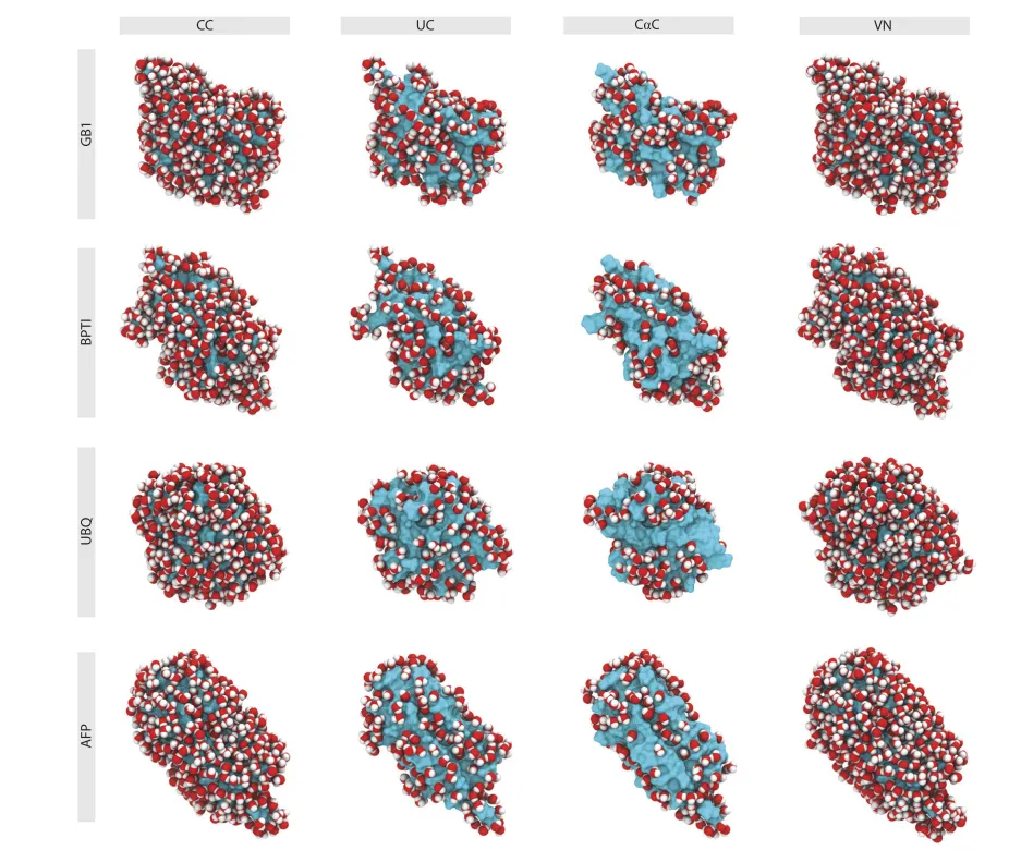 The overlooked role of intrinsic water in protein–ligand binding