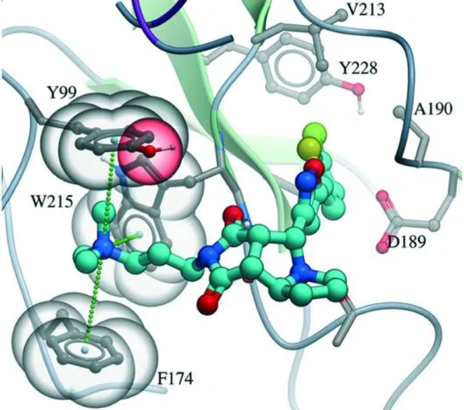 The overlooked role of intrinsic water in protein–ligand binding