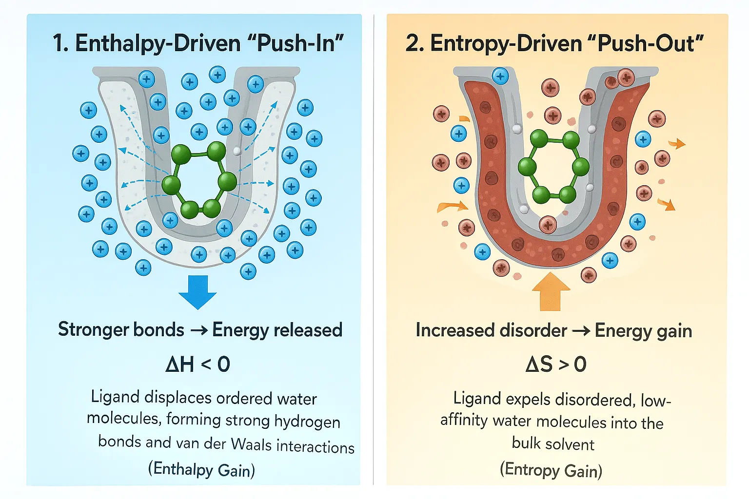The overlooked role of intrinsic water in protein–ligand binding