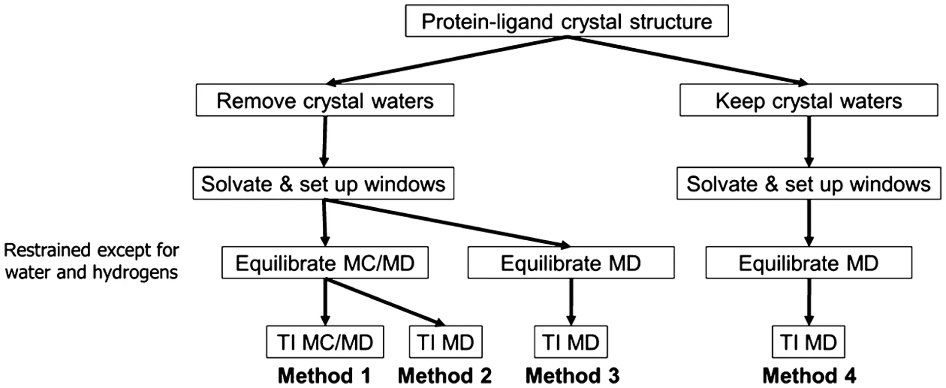 The overlooked role of intrinsic water in protein–ligand binding