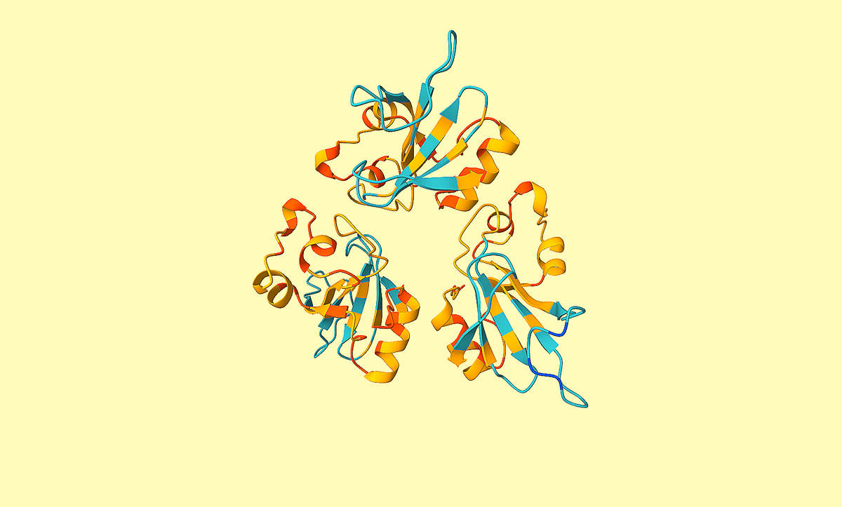 Edit, predict, evaluate your proteins structures in bulk with LiteFold