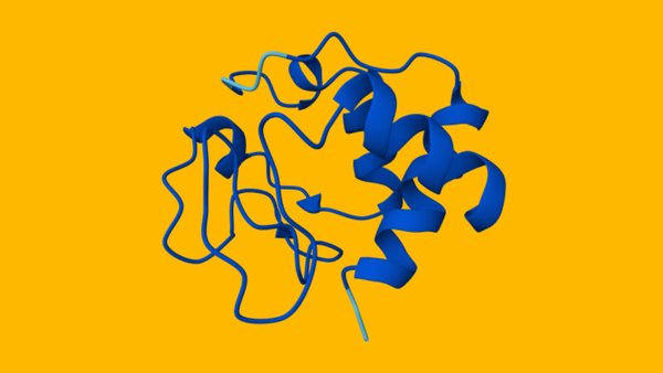 Structural biology and AlphaFold