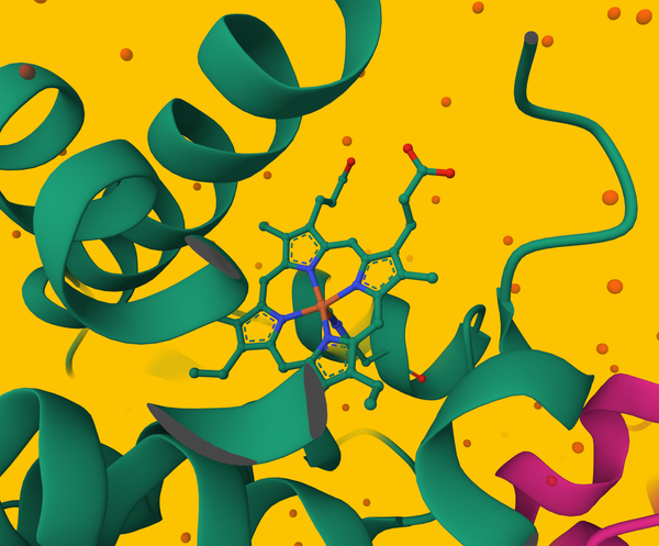 Structure Based Drug Design just got easier than ever